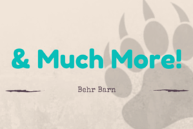 & Much More Icon 